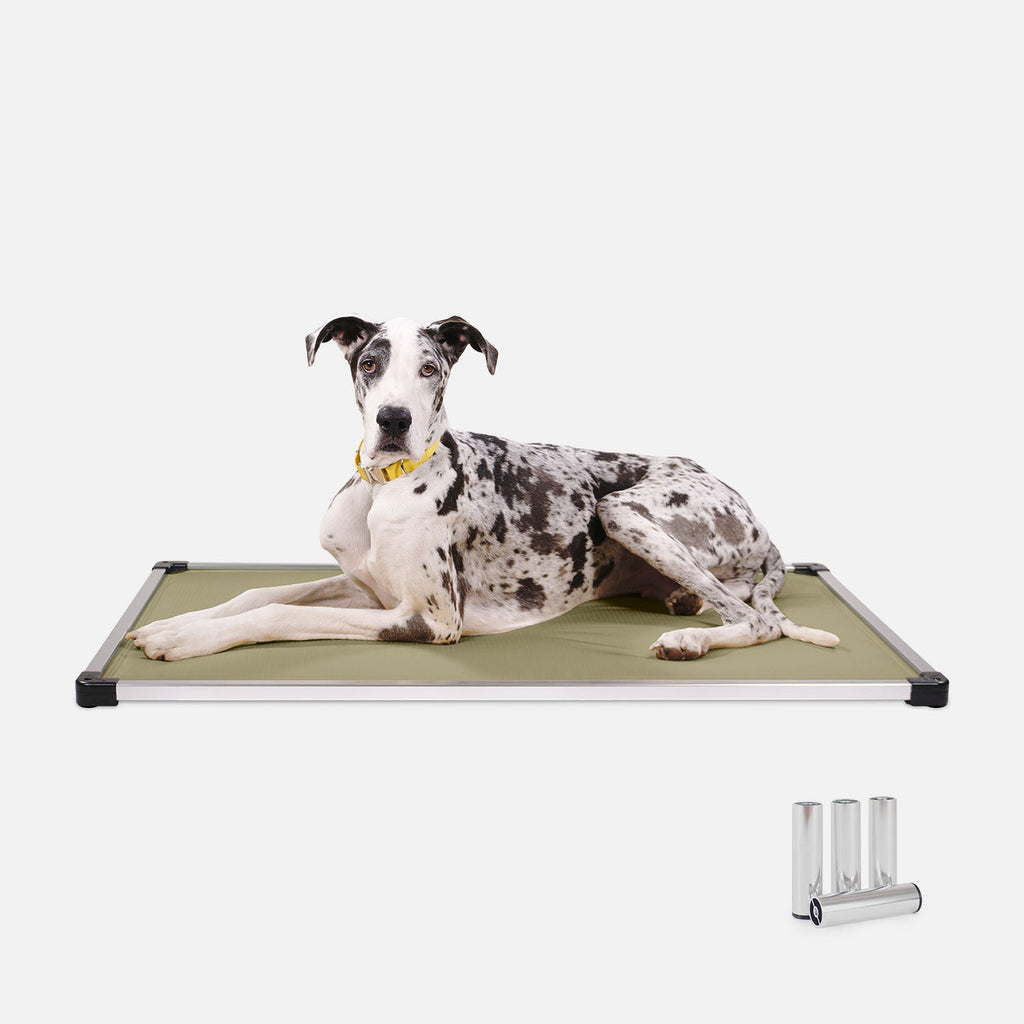 Chew Proof Armored™ Padded Dog Crate Bed