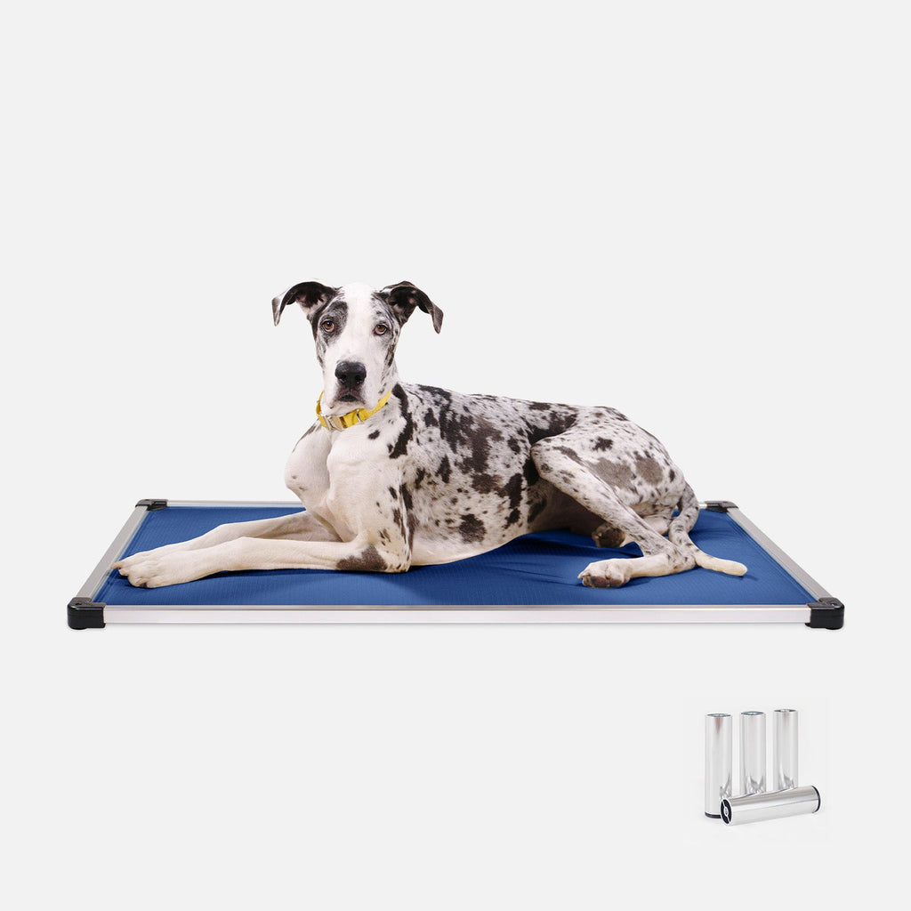 Chew Proof Armored™ Padded Dog Crate Bed