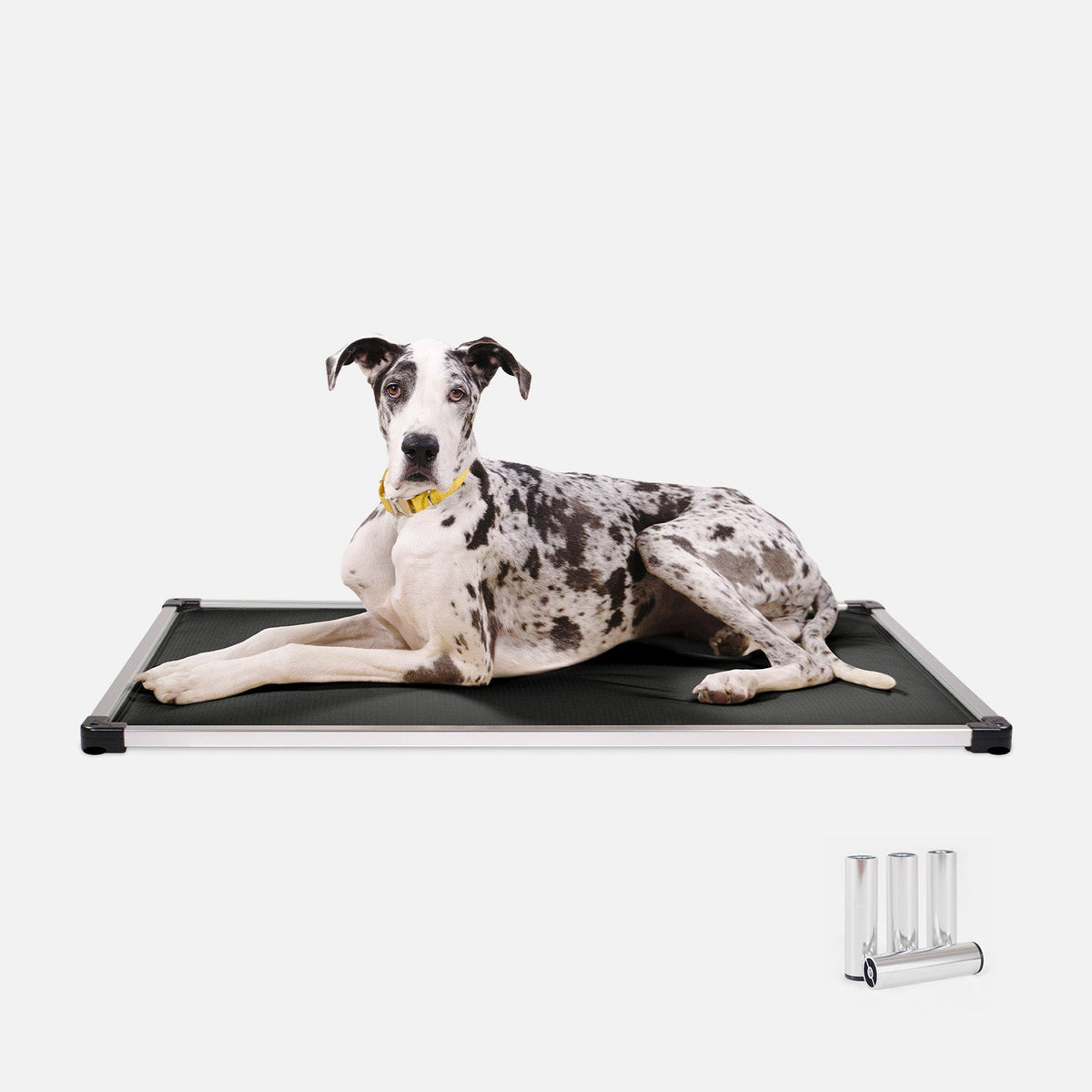 Chew Proof Armored™ Padded Dog Crate Bed