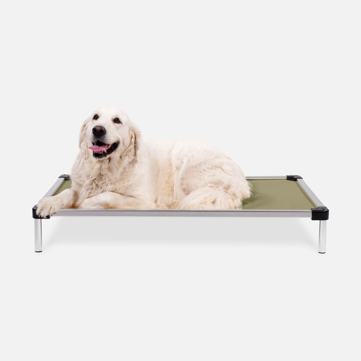Chew Proof Armored™ Ripstop Elevated Dog Bed