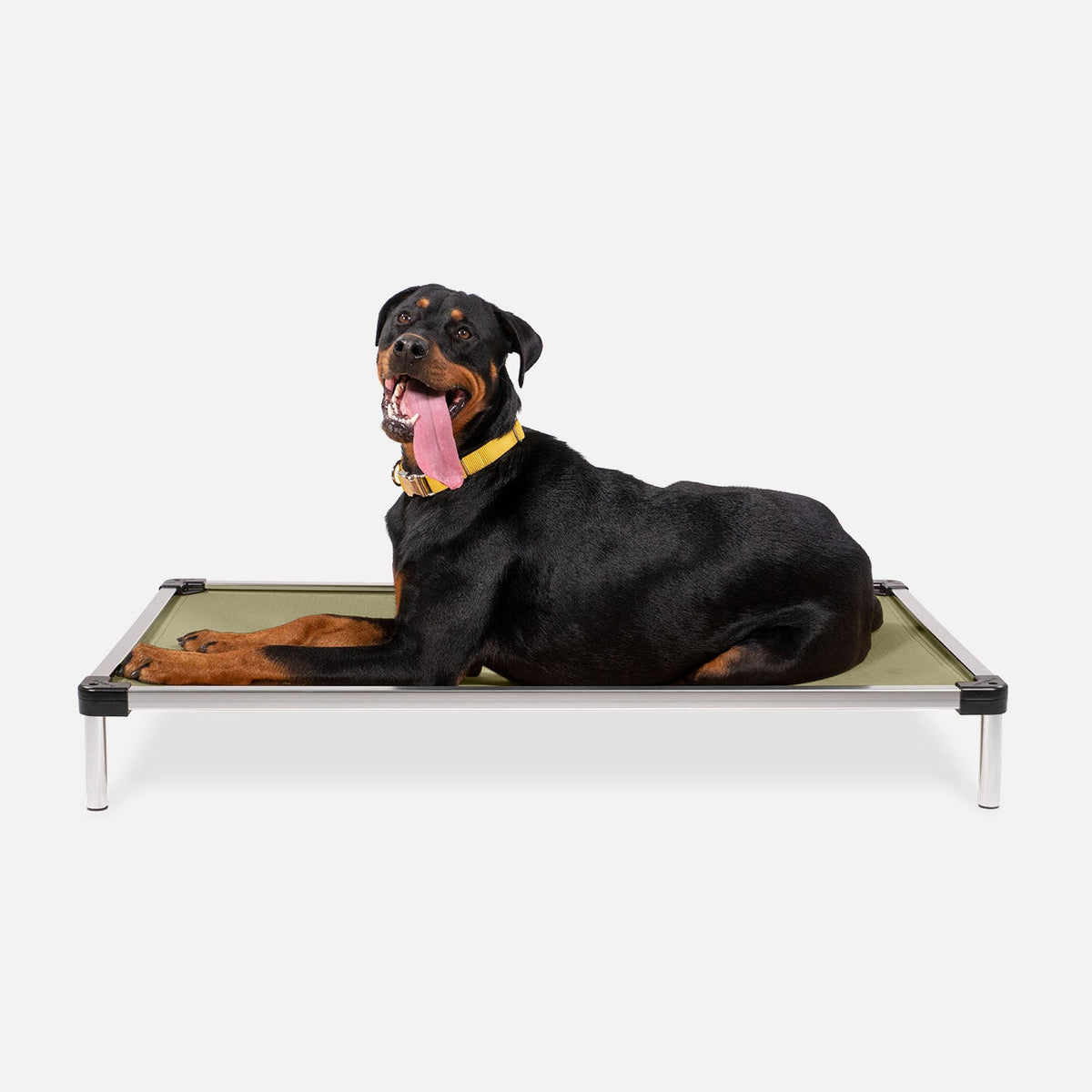 Chew Proof Armored™ Ripstop Elevated Dog Bed