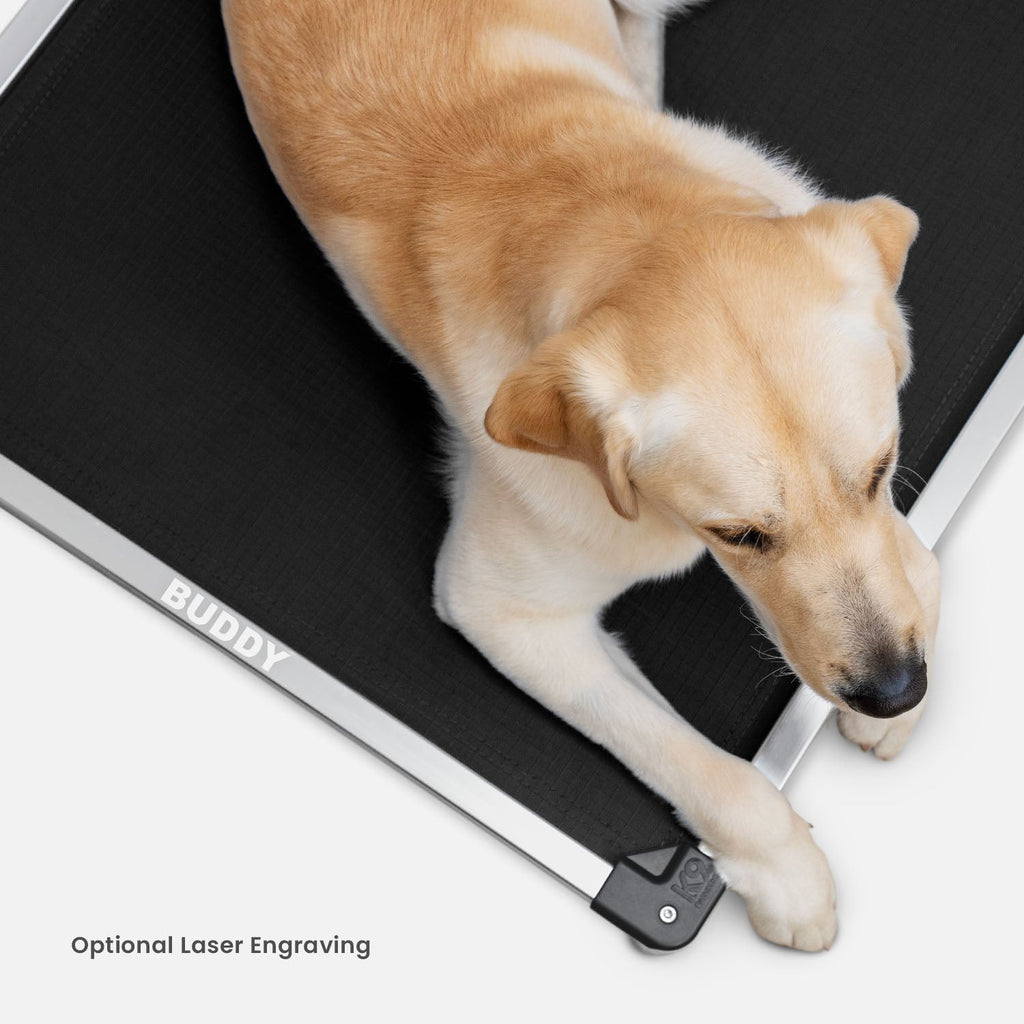Chew Proof Armored™ Ripstop Elevated Dog Bed