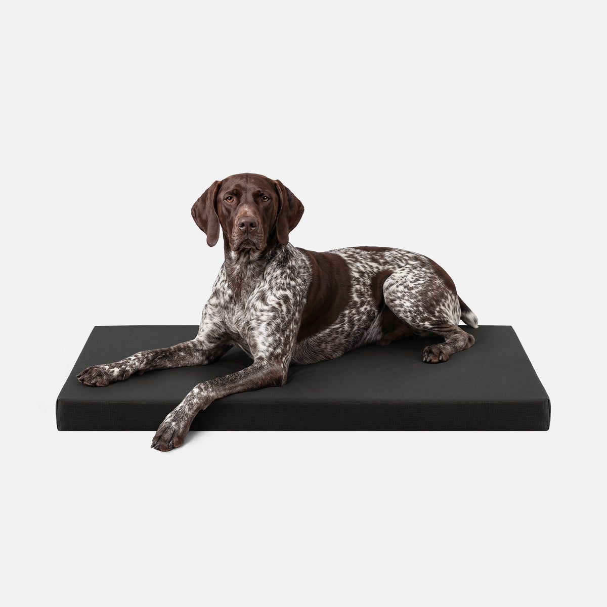 Tough Ripstop™ Orthopedic Dog Crate Bed