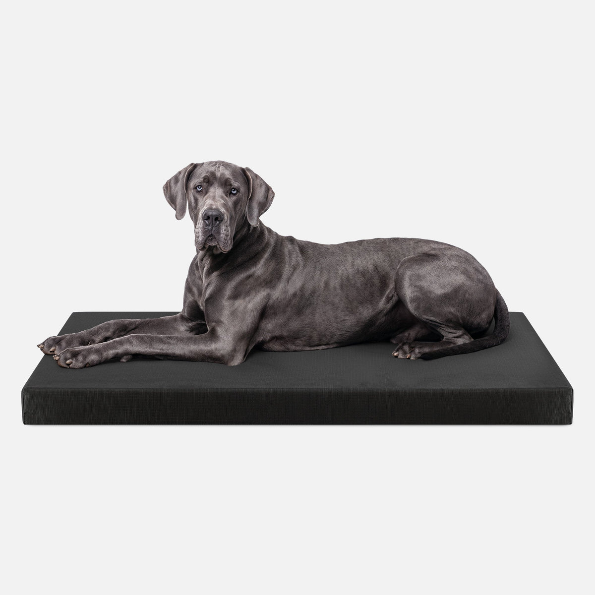 Tough Ripstop™ Orthopedic Dog Crate Bed