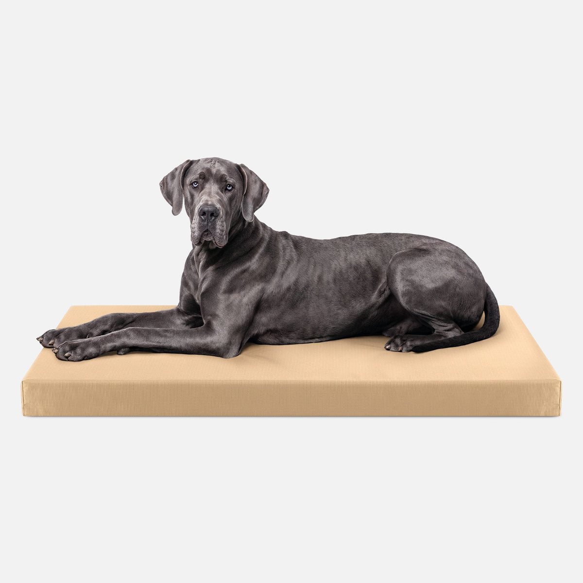 Tough Ripstop™ Orthopedic Dog Crate Bed